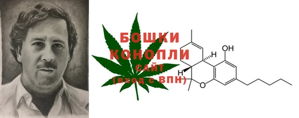 мяу мяу мука Беломорск