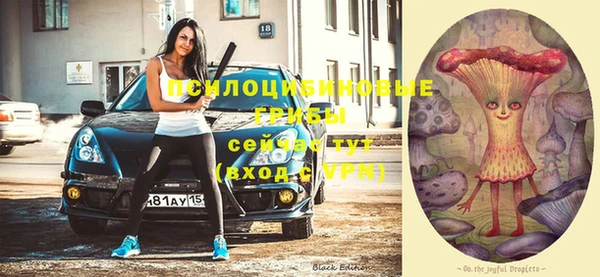 метадон Белокуриха