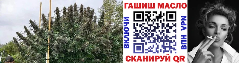 ТГК жижа Буйнакск