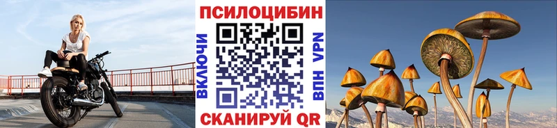Галлюциногенные грибы GOLDEN TEACHER Буйнакск