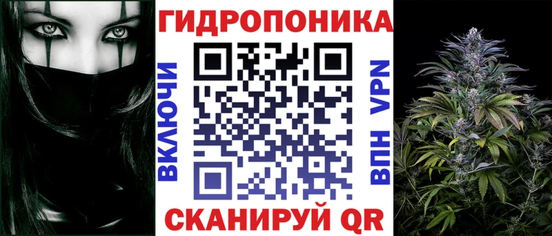 Марихуана план  Буйнакск 